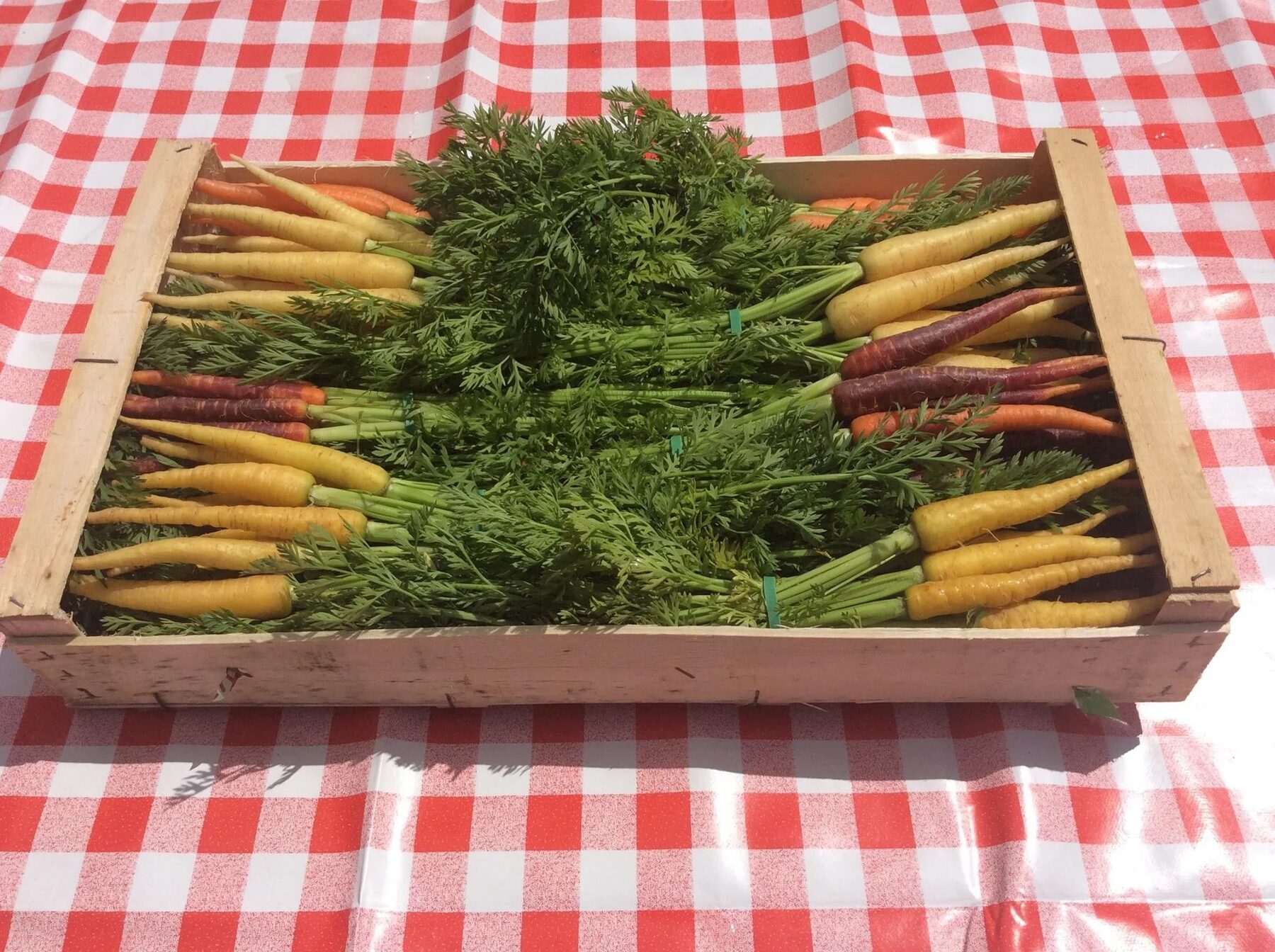 Kist met bonte wortels op een rood-wit geruit kleed